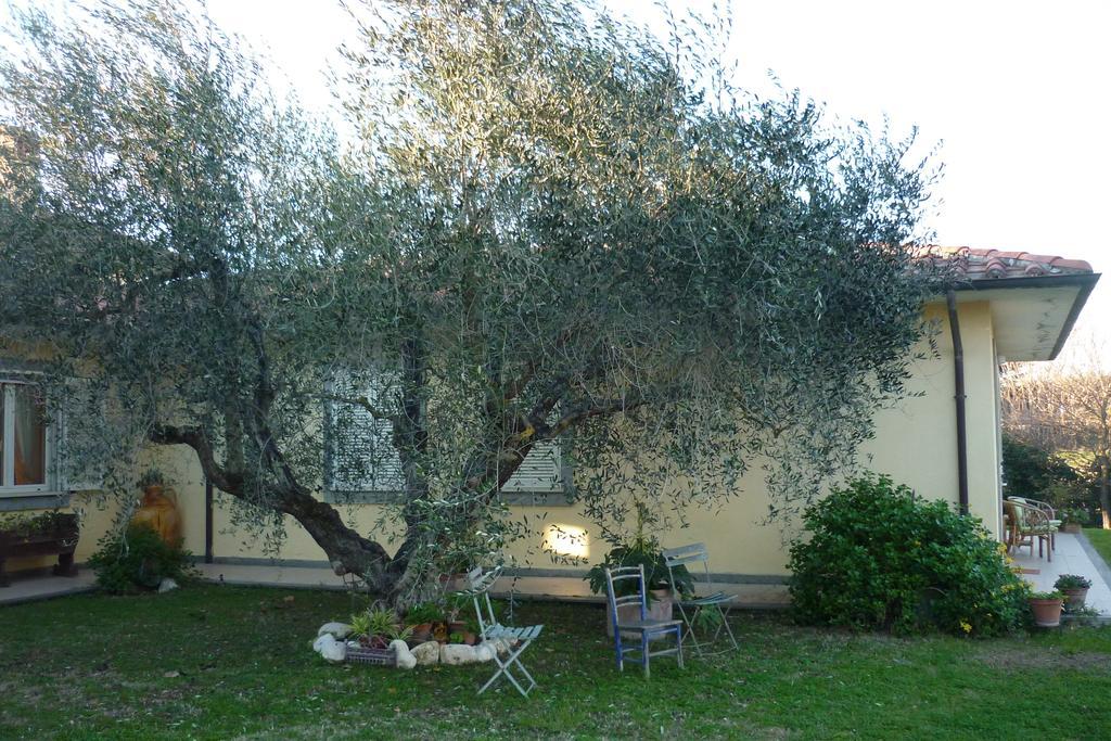 B&B Alle Terme Вітербо Екстер'єр фото